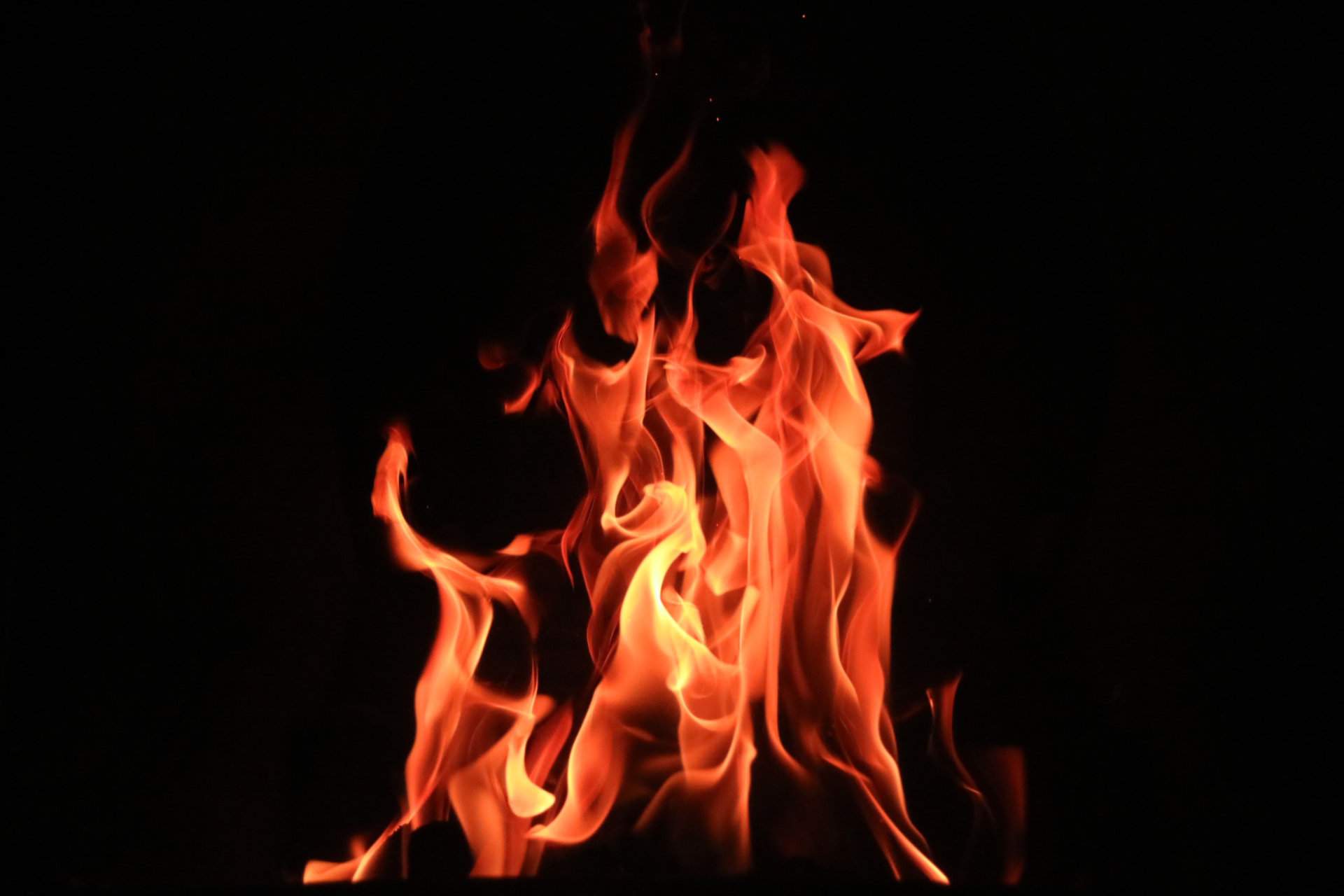 Foto von Flamen
